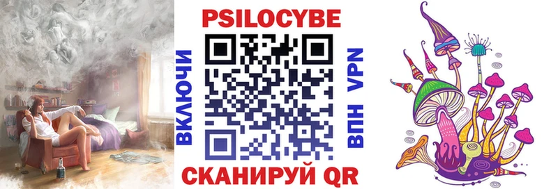 kraken как войти  Ессентукская  Псилоцибиновые грибы GOLDEN TEACHER  купить наркотик 