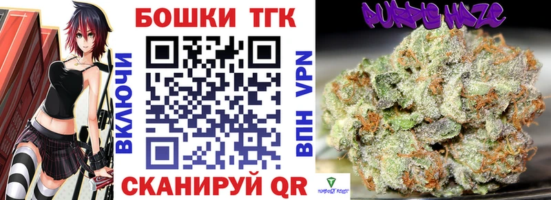 купить наркоту  Ессентукская  Шишки марихуана планчик 